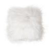 Wild White