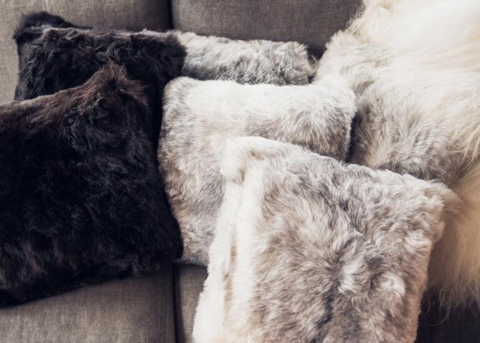 Bild 7, Icelandic Sheepskin Shorn Black - Cuero Design - Bonus Möbler