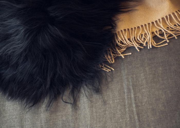 Bild 8, Icelandic Sheepskin Wild Black - Cuero Design - Bonus Möbler