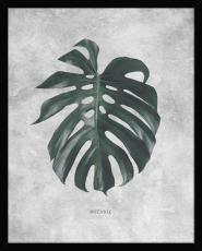 Botanic 40X50 Svart - Hoei - Bonus M&ouml;bler