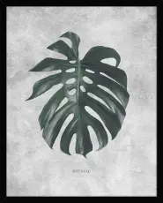 Botanic 40X50 Svart - Hoei - Bonus M&ouml;bler