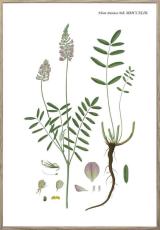 Nordic Flora 4 21X30 Tr&auml;ren - Hoei - Bonus M&ouml;bler